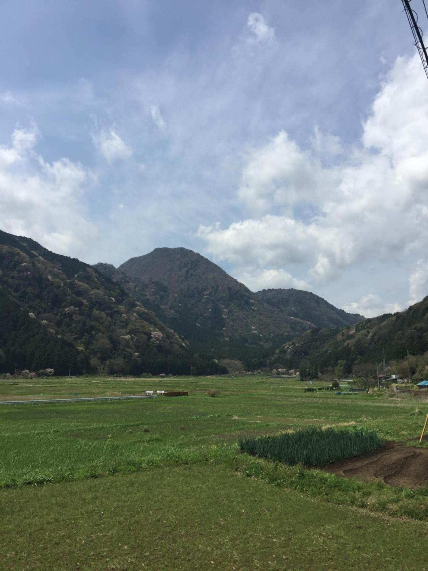 伊東市 ハレイリオヴィラ エクステリア 写真