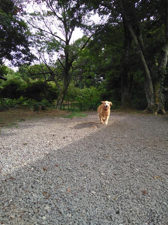 伊東市 ハレイリオヴィラ エクステリア 写真